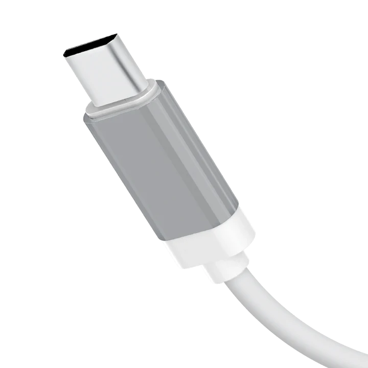 Audionic S-80 Type C 2.1 USB Port Charger