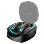 Ronin R-520 Dynasty Earbuds