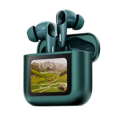 ZERO Display Earbuds